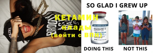 шишки Алексин