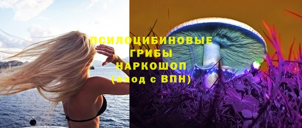 эйфоретик Алексеевка
