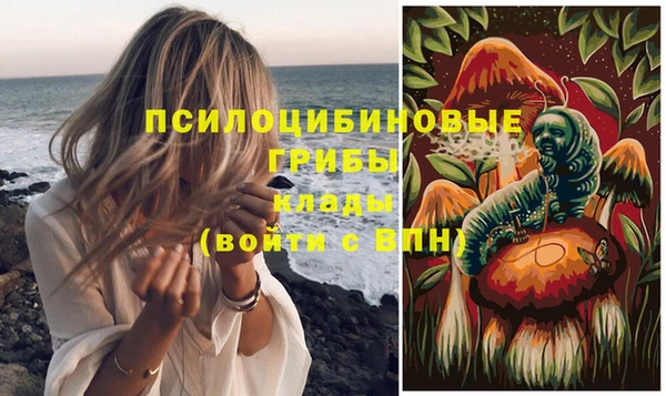 шишки Алексин