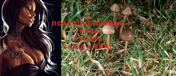 эйфоретик Алексеевка