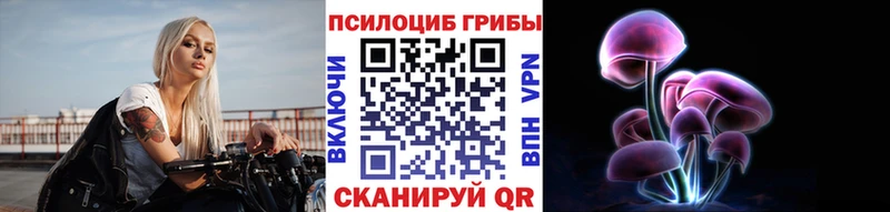Галлюциногенные грибы Magic Shrooms  где найти   Бабушкин 